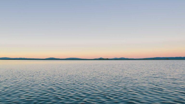 How To Start Betting Safely On 99Exch?